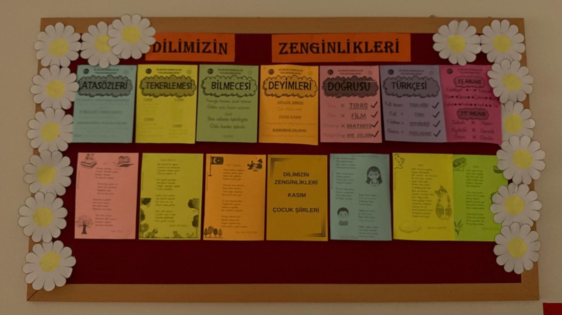 Dilimizin Zenginlikleri Projesi Çalışmalarımız Devam Ediyor